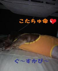 御隠居さん。 2009/11/06 21:19:03