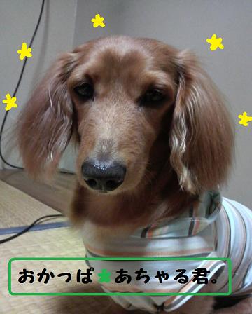 バーバー。