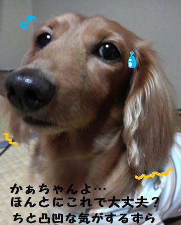 バーバー。