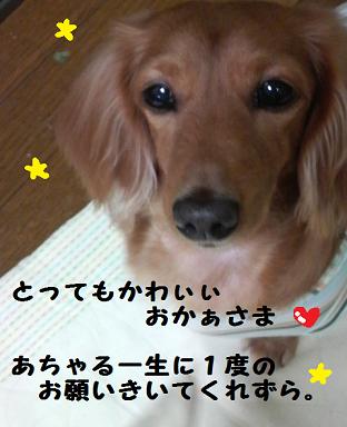 あちゃるの好物。