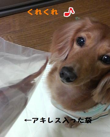 あちゃるの好物。