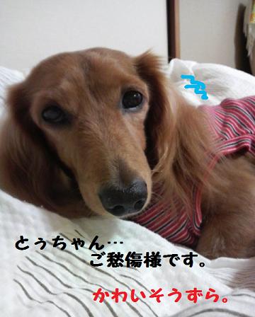 ばーばー再び。