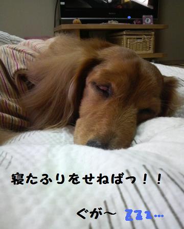 ばーばー再び。