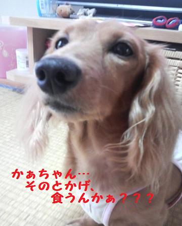 かぁちゃんの出来事。