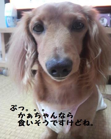 かぁちゃんの出来事。