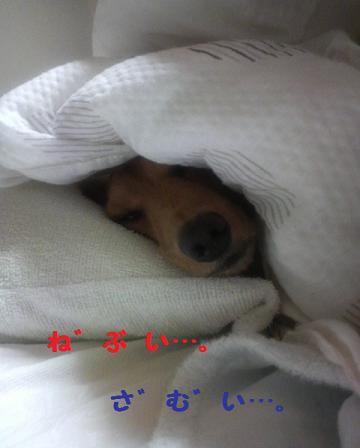 寒いけども・・・
