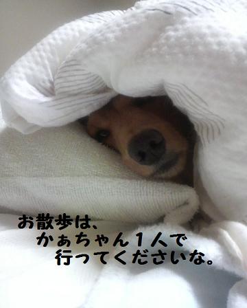 寒いけども・・・