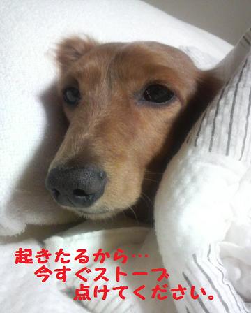 寒いけども・・・