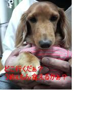 連休♪ 2009/11/22 08:49:31