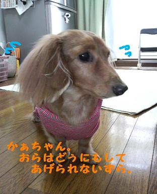 月末なんでっ。。。