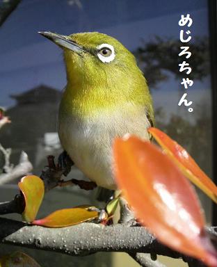 忙しいかぁちゃま。