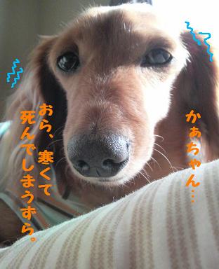 祝日なんで・・・