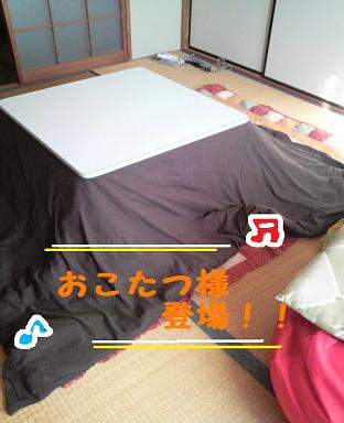 祝日なんで・・・