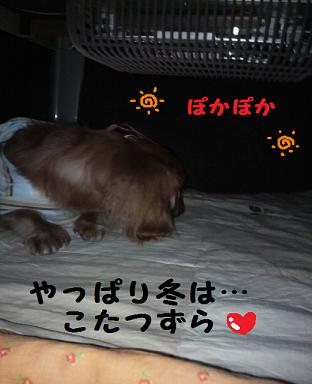 祝日なんで・・・