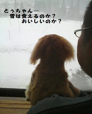 いまさら・・・