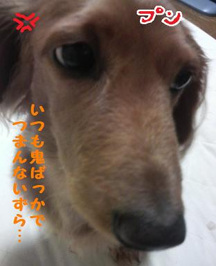 あちゃると遊ぼう♪