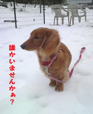 いまさら・・・