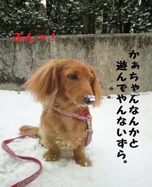 いまさら・・・