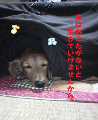 トラウマ。