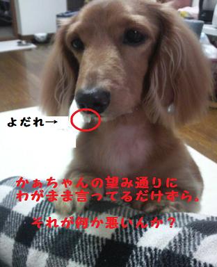 トラウマ。