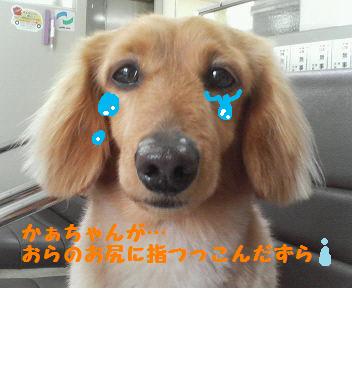 ひさしぶりの・・・