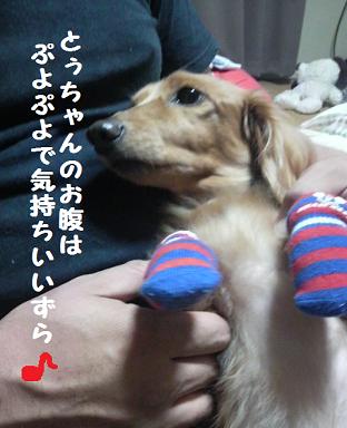 父と息子のふれあい♪