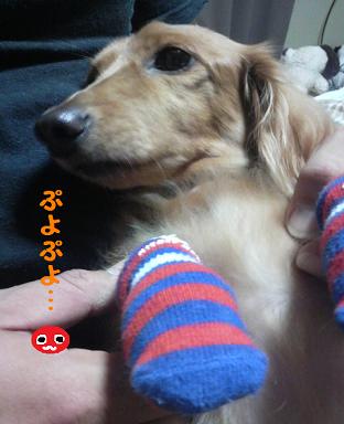 父と息子のふれあい♪