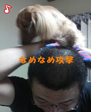 父と息子のふれあい♪