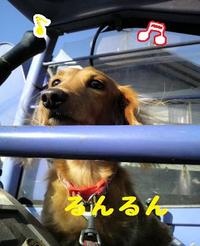 ユンボが好き♪ 2009/12/20 16:32:11