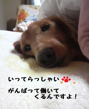 怖い先輩。。。