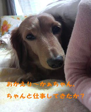 怖い先輩。。。