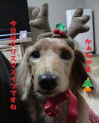 ☆クリスマス☆ 2009/12/25 20:39:41
