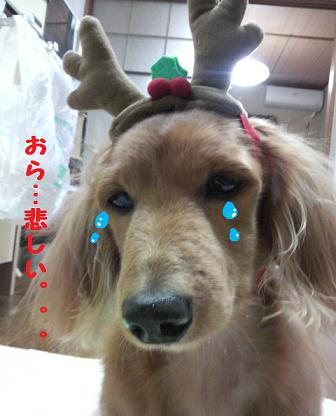 ☆クリスマス☆