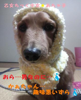 サンたろうからのプレゼント☆