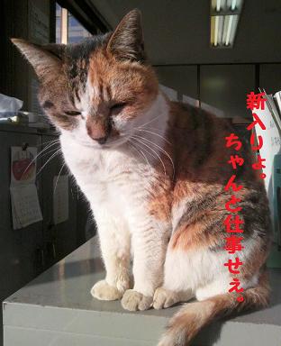お気に入りの場所♪