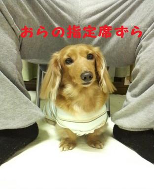 お気に入りの場所♪