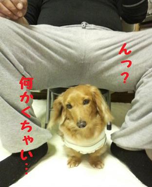 お気に入りの場所♪