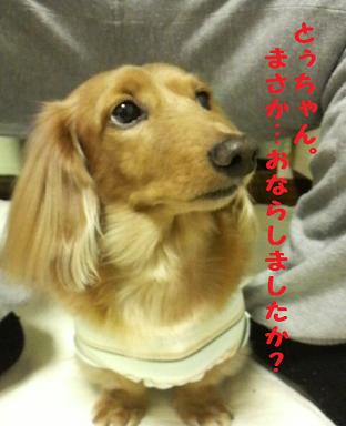 お気に入りの場所♪