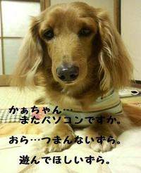ブログを書こう！ 2010/01/29 20:56:07