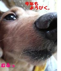 あけました新年。。。 2010/01/04 21:57:52