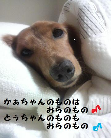 寒いけども・・・