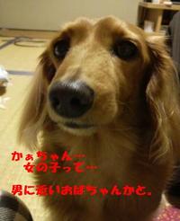 赤福 2010/02/14 18:53:07
