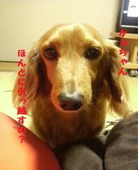 引っ越ししたい症候群 2010/02/02 20:14:16