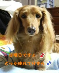 男２人で… 2010/04/15 19:57:02
