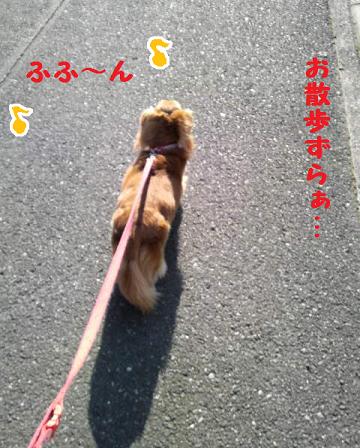 ♪お散歩♪