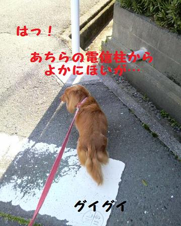 ♪お散歩♪