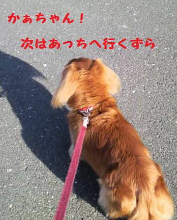 ♪お散歩♪