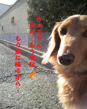 ♪お散歩♪