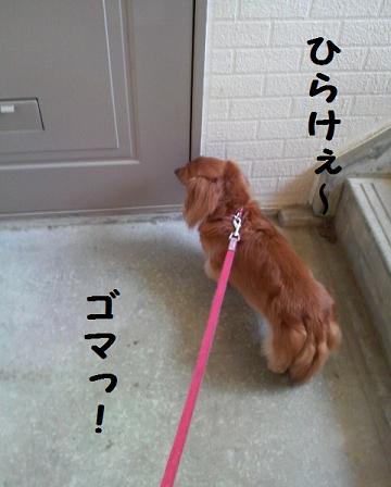 ♪お散歩♪