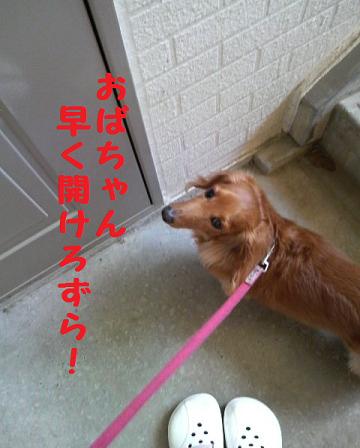 ♪お散歩♪